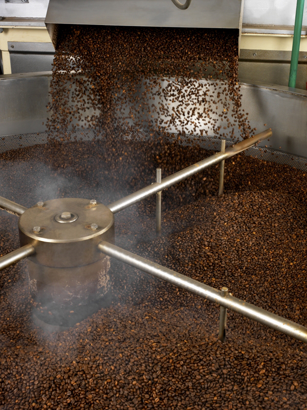 Nou! DESTINATION, cafeaua BIO care te duce unde vrei